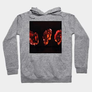 Deathspell Omega Knse Album Cover Hoodie